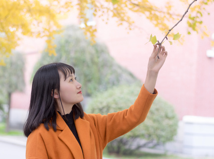 沈阳是否有菲律宾大使馆，办理菲律宾签证需要哪些资料_菲律宾签证网